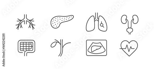 Medical and anatomy line icon set. healthy, vital signs, organs linear collection