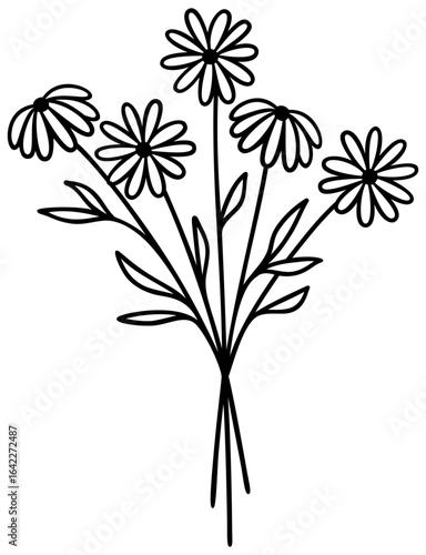 Wallpaper Mural Daisy Flowers | Floral Bouquet Line Art | Vector Botanical Artwork Torontodigital.ca