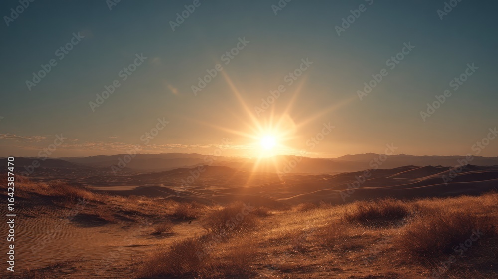 Obraz premium Sunrise over desert landscape