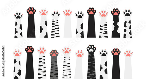 A Collection of Adorable Cat Paws Reaching Upward Displaying a Variety of Colors Patterns and Textures Creating a Cheerful and Playful Visual Motif for Pet Lovers