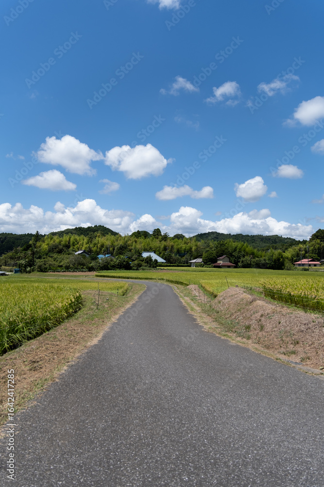 Fototapeta premium 日本の田舎に広がる美しい田園風景と道路