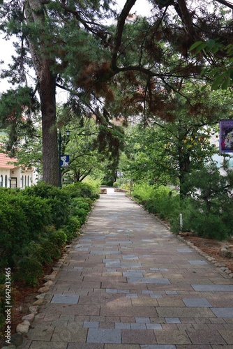 August 8, 2025, Takarazuka City, Hyogo Prefecture, Japan. Scenery around the Takarazuka Revue.