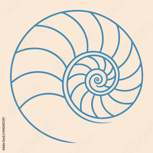 Blue Nautilus Shell Spiral Outline on Light Beige Background geometric pattern