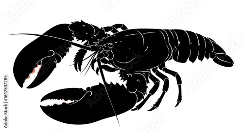 Detailed Lobster Silhouette Side View on Isolated White Background