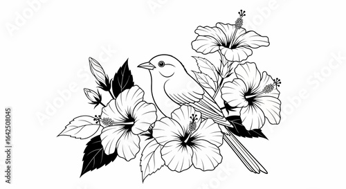 Small bird perched among blooming hibiscus flowers and leaves, tropical nature illustration, isolated white background.
