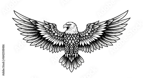 Powerful Eagle with Spread Wings, Majestic Silhouette Design on Isolated White Background