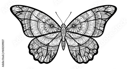 Beautiful ornate butterfly with intricate patterns on an isolated white background, an elegant insect illustration.