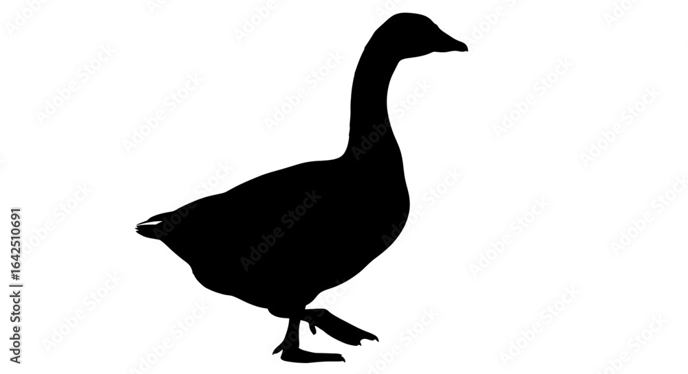 Fototapeta premium Elegant Goose Bird Silhouette Standing on Isolated White Background