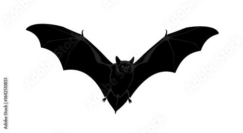 Flying Bat Silhouette with Spread Wings on Isolated White Background