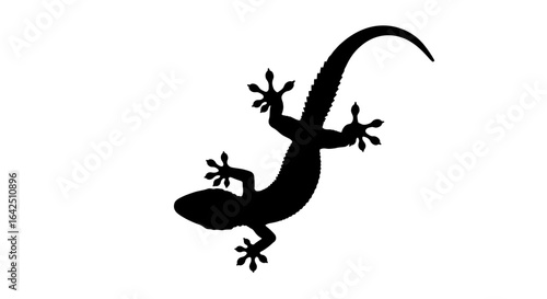 Black gecko lizard silhouette in a crawling pose on an isolated white background, top view.