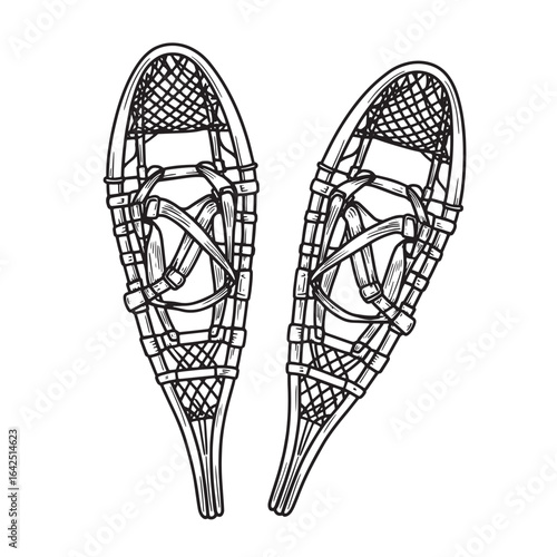 Two detailed line art illustrations of traditional snowshoes isolated on white background