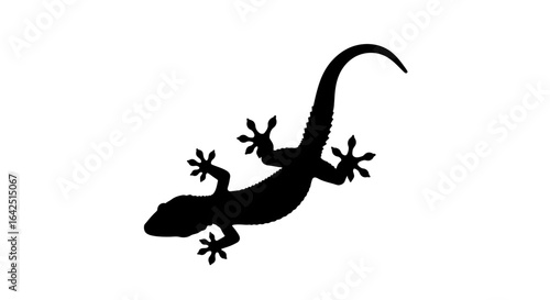 Silhouette of a gecko with its tail curved upward, showcasing its distinctive feet.