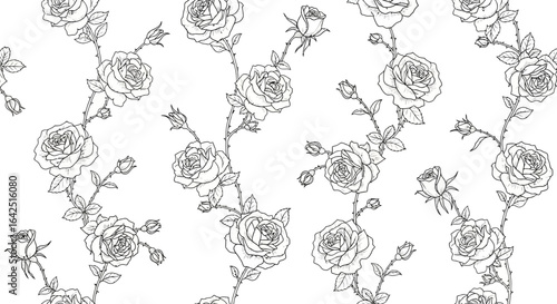 Black and white line drawing pattern of roses and stems.