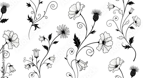 Black and white floral illustrations featuring thistles, poppies, daisies, and bellflowers with swirling stems and leaves.