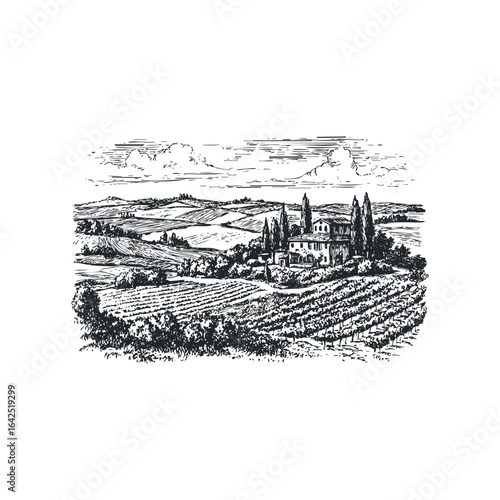 Vineyard landscape with farmhouse and cypress trees