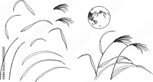 ペンで描いたすすきと満月の素材イラスト