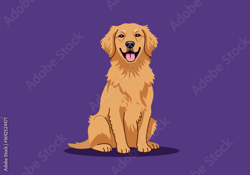 Happy golden retriever dog sitting, smiling, purple background, illustration.