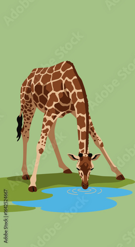 A giraffe bends down to drink water from a small pool, illustrated with a flat design.