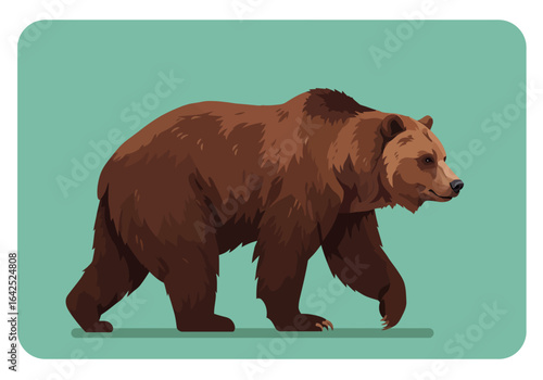 A majestic brown bear strolls across a muted teal background.
