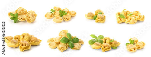 Set of tasty dumplings on white background