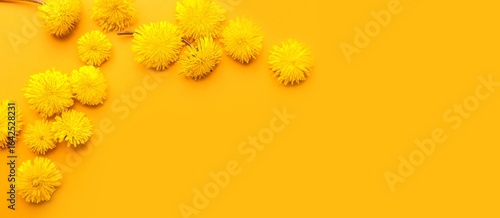 Fototapeta Naklejka Na Ścianę i Meble -  Beautiful dandelions on orange background with space for text, top view