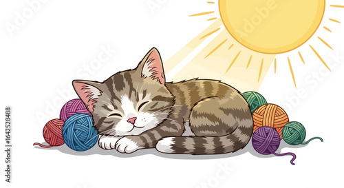 kitten napping in sunshine beside colorful yarn balls