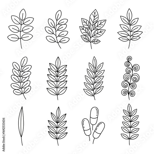 A collection of hand drawn leaf and botanical elements in black outline line art style. Perfect for nature-themed designs, eco-friendly packaging, organic branding, logos, wedding invitations, and dec