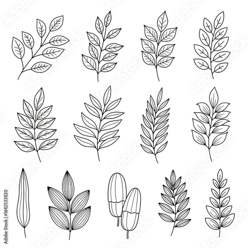 A collection of hand drawn leaf and botanical elements in black outline line art style. Perfect for nature-themed designs, eco-friendly packaging, organic branding, logos, wedding invitations, and dec