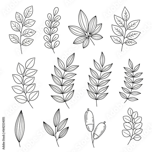 A collection of hand drawn leaf and botanical elements in black outline line art style. Perfect for nature-themed designs, eco-friendly packaging, organic branding, logos, wedding invitations, and dec