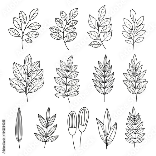 A collection of hand drawn leaf and botanical elements in black outline line art style. Perfect for nature-themed designs, eco-friendly packaging, organic branding, logos, wedding invitations, and dec