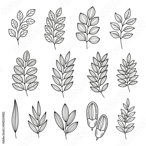 A collection of hand drawn leaf and botanical elements in black outline line art style. Perfect for nature-themed designs, eco-friendly packaging, organic branding, logos, wedding invitations, and dec