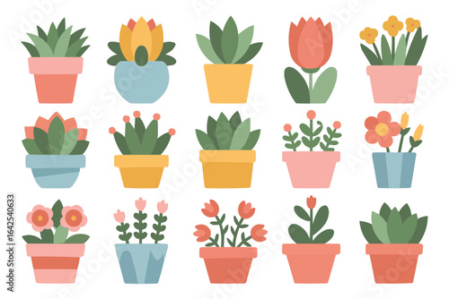 Fifteen potted plants with flowers and succulents houseplants