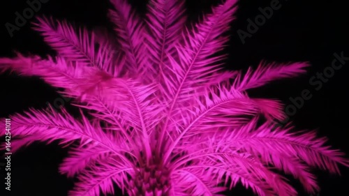 Electric pink palm tree illuminated against the black night sky. Vibrant tropical nightlife concept.