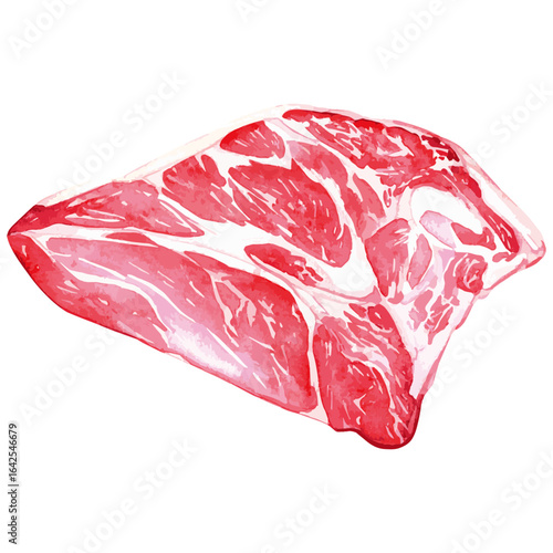 Watercolor Illustration of raw Brisket Beef 