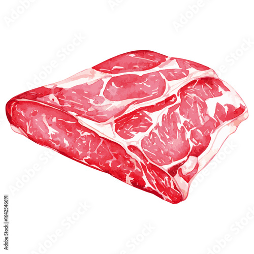 Watercolor Illustration of raw Brisket Beef 