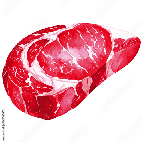 Watercolor Illustration of Raw Ribeye Beef 