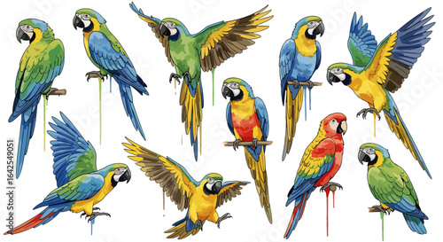 Collection of colorful macaw parrots in various poses perched and flying on a white background art
