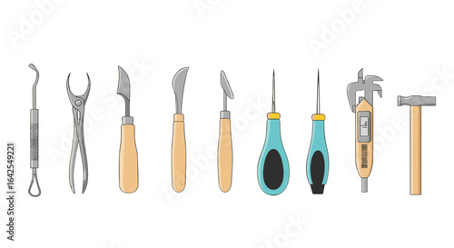 Illustration showing a variety of tools including scalpels forceps and a small hammer in a row