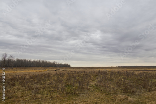 Elk Island National Park on a Cloudy Autumn Day