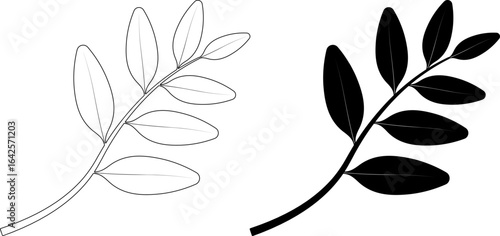 outline silhouette coca Leaves and branches icon set