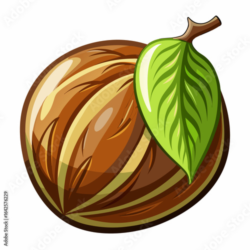 colorful illustration of a nutmeg, isolated on white background