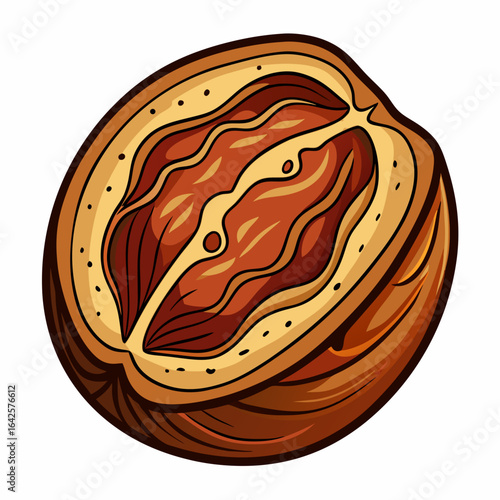 colorful illustration of a nutmeg, isolated on white background