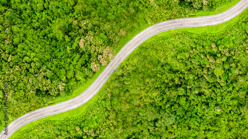 Obraz na plátně Top view of road forest atmosphere area, Texture background forest tree view from above, Ecosystem ecology environment, Green forest and green tree