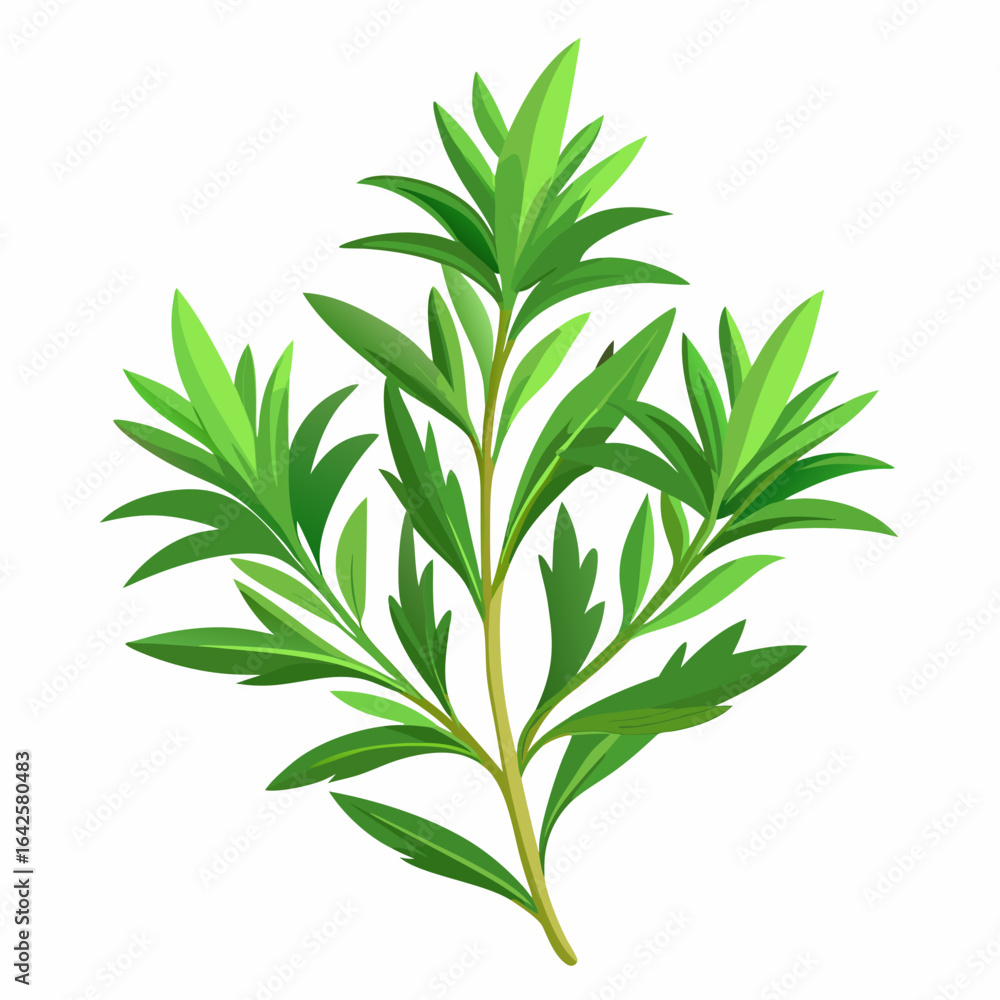 Obraz premium colorful illustration of a tarragon, isolated on white background