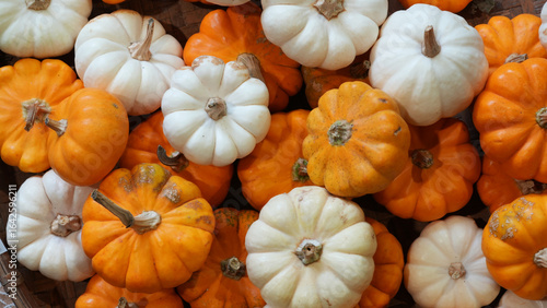 Close-up of vibrant orange and white mini pumpkins displayed at a local market in Taiwan during summer. A fresh seasonal harvest reflects the colorful produce and traditional agricultural lifestyle.