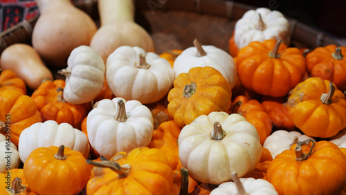 Close-up of vibrant orange and white mini pumpkins displayed at a local market. A fresh seasonal harvest reflects the colorful produce and traditional agricultural lifestyle.