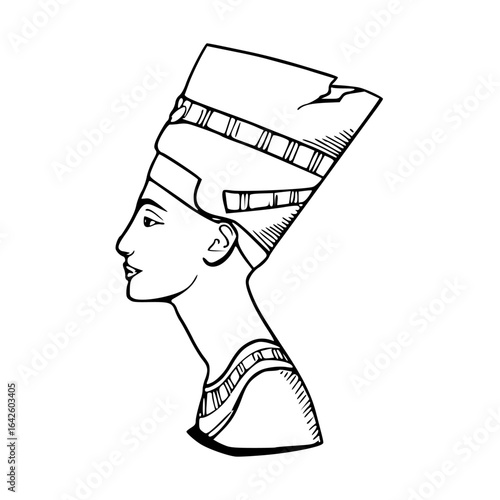 ancient Egypt queen Nefertiti bust vector