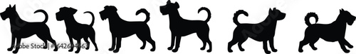 Collection of dog breed silhouettes, standing pet animals, black vector icons, canine poses, isolated design for veterinary, logo, or decoration
