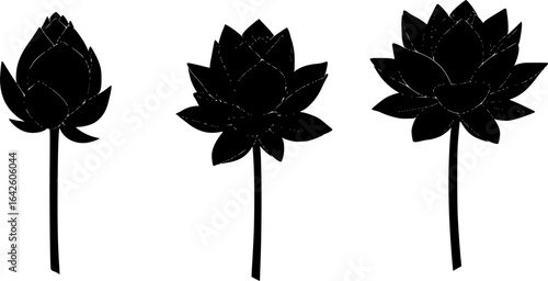 Set of three silhouettes of lotus flowers. Vector illustration.
