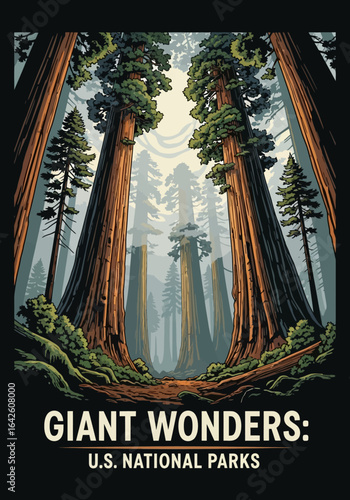 Giant Redwood Forest Screen Printing T-Shirt Design